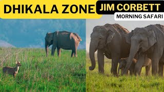 DHIKALA ZONE | Jim Corbett Tiger Reserve | Jungle Safari