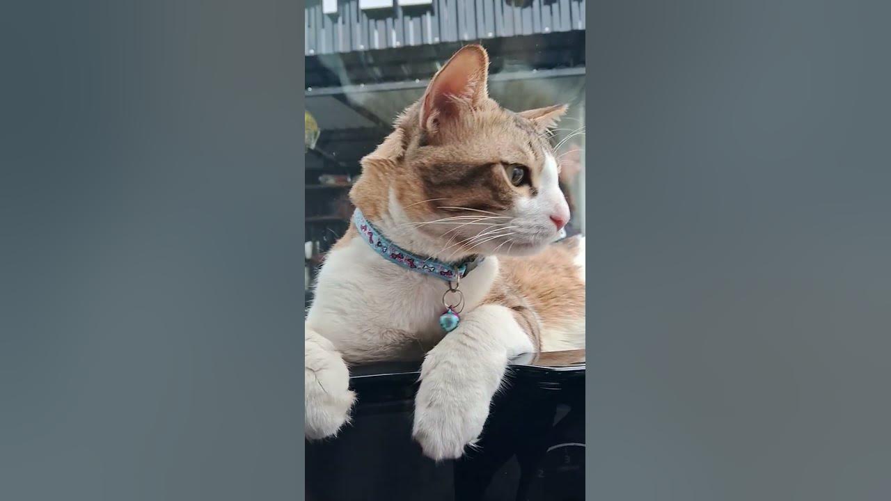 I M On Travel Meaning