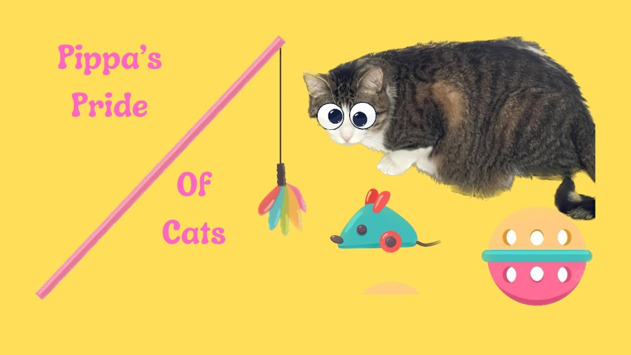 Playing With Your Cat