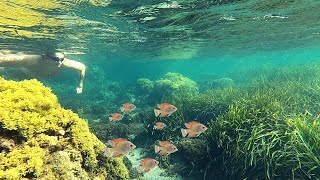 The BEST Snorkelling in Spain!? Cabo de Gata Will Blow Your Mind! 🇪🇸