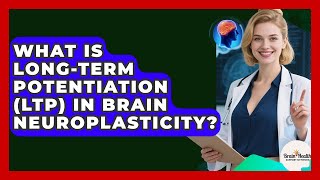 What Is Long-Term Potentiation (LTP) In Brain Neuroplasticity - Brain Health Support Network