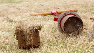 How to Identify Freeze Damage on Turf