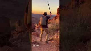 Cinematic Desert Encounter: Woman vs Mountain Lion – Watch the Rescue!