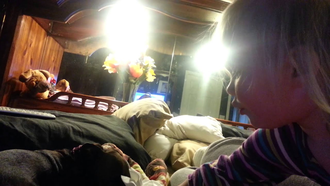 Blow your nose puppy YouTube