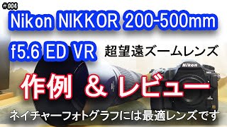 #4 【 ニコン 200-500mm f5.6 超望遠ズームレンズ 】 レンズレビュー（作例含む）