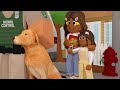 Our dog is gone hit by car animal control roblox bloxburg roleplay roleplay