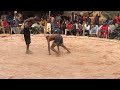 DAY 23 1 2026 YAU DOGON DAN LADI NA GEZA YACI BABBAN NAMA A Ogere DAY 23 1 2026 YAU DOGON DAN LADI NA GEZA YACI BABBAN NAMA A Ogere