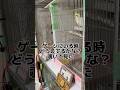【速攻バレたw】オカメインコのモモヒキ隊！飼い主の"覗き見"に一瞬で気づいて「放鳥しろ！」ってなった瞬間の圧力 #包囲網突破