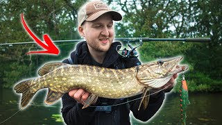 Gode Tips Til Geddefiskeri Fra Land! 🎣