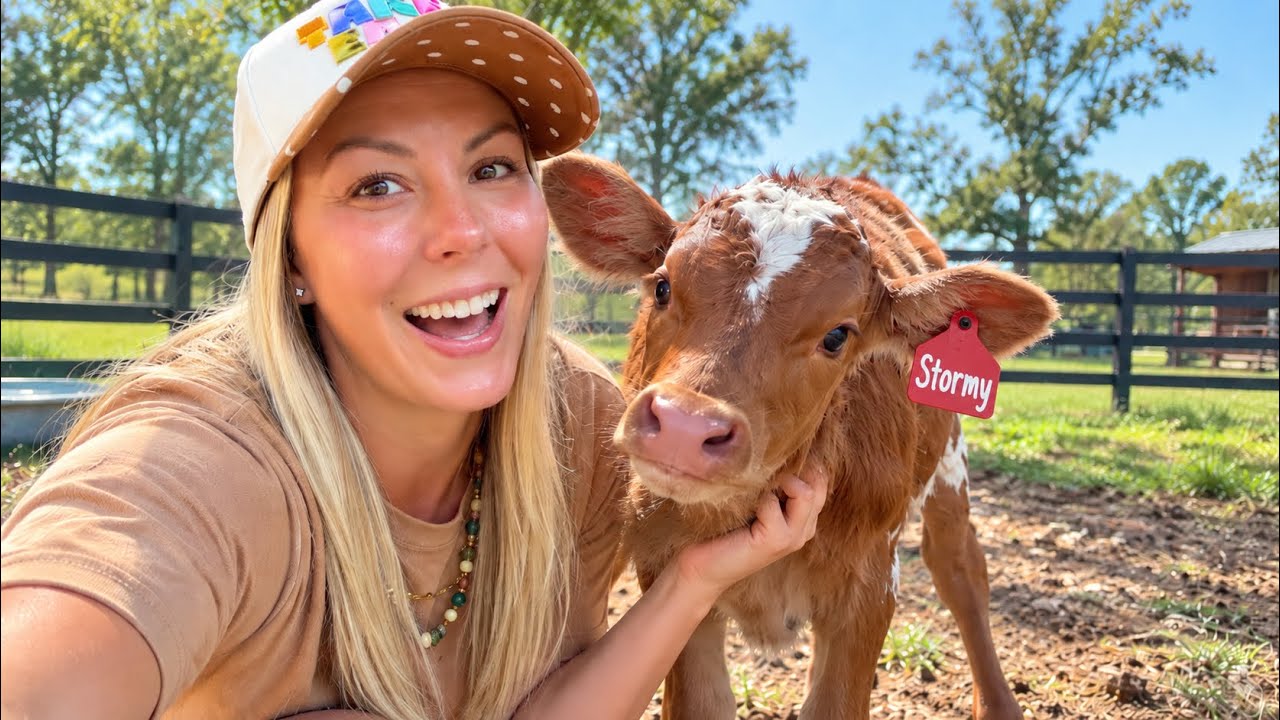 I Got Close To Our NEW Calf… Then THIS Happened!