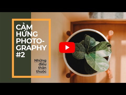 Video: Cách Chụp Những Bức ảnh Tuyệt đẹp Trong điều Kiện Thời Tiết Xấu