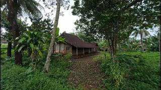 An Afternoon In Kemiri Hamlet Between An Old Mosque And The Village Atmosphere