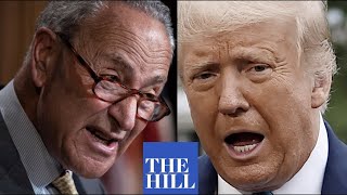 Schumer BLASTS Trump over COVID-19 bill