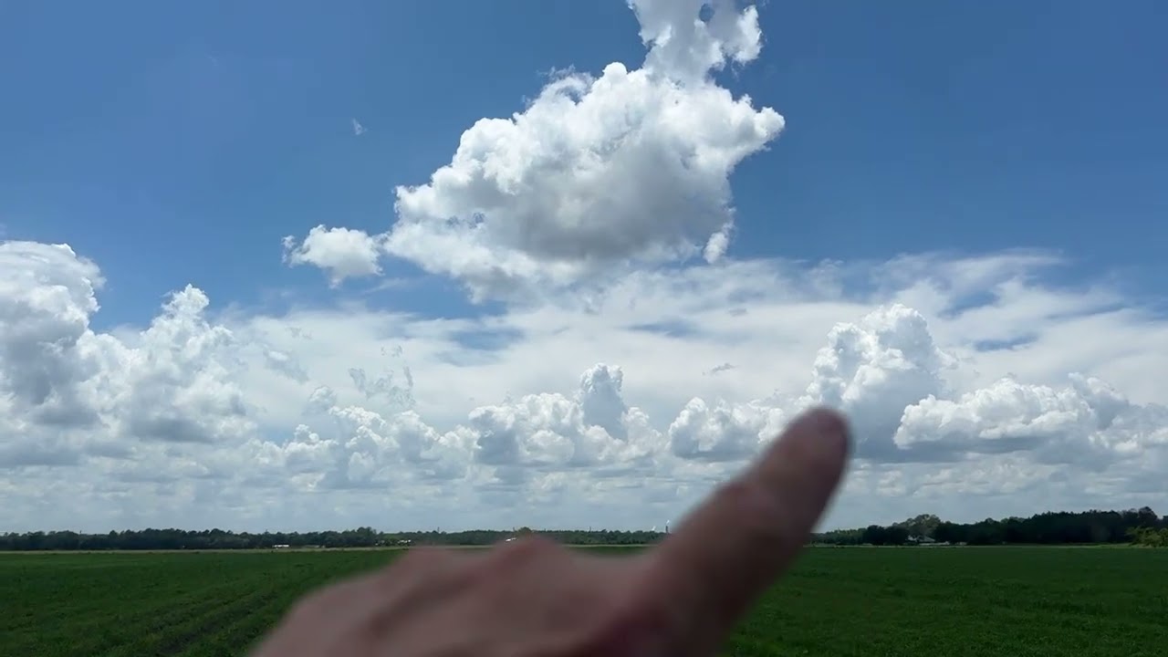 Sea breeze fronts - the perfect “storm factory”.