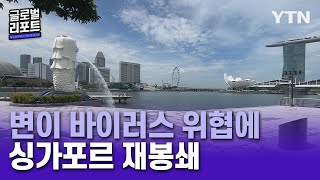 변이 바이러스에 방역 모범국 싱가포르도 속수무책 [글로벌리포트] / YTN korean