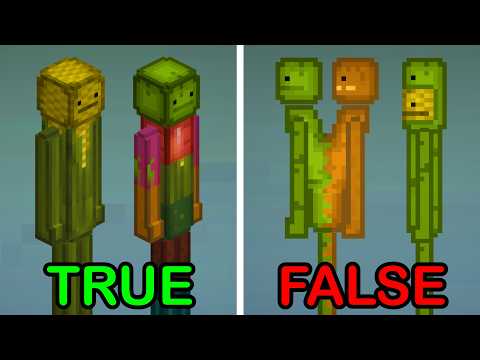 I Solved Every Melon Sandbox Myth You Sent Me