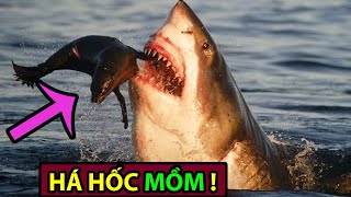 Cá Mập Trắng: Những Sự Thật Khiến Bạn Há Hốc Mồm! -Động Vật Facts #17
