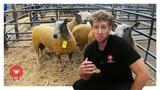 I NEED TO BUY SOME RAMS  |  Can I afford it though?