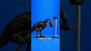 Top 12 Deadliest Bird Bite Forces Tested! (0 to 3500 PSI) 😱 #biteforce