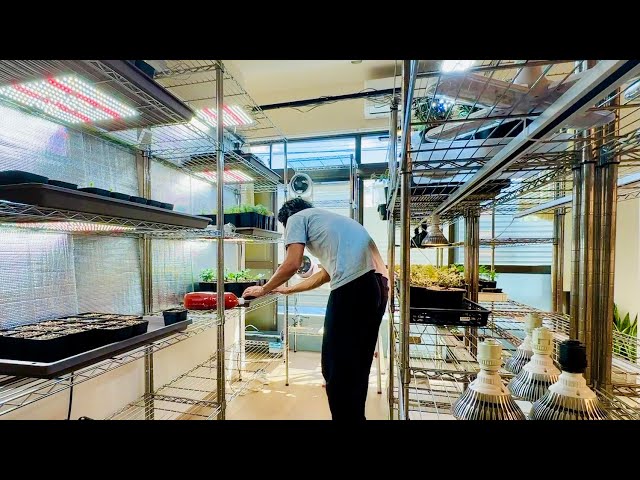 A day in the life of a man obsessed with caudex plants. - YouTube
