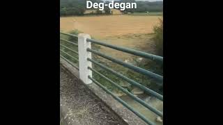 diindonesia ada yang berani sperti ini. ? #video #short #shorts #shortvideo #shortsvideo #extranews