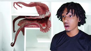 Octopus vs an Underwater Maze!