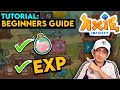 AXIE INFINITY EXP AND SLP FARMING GUIDE | TAGALOG