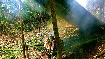 Sinh Tồn Trong Rừng | Tập 15 | Thử Thách Mới Trong Rừng Tre | survival in the forest