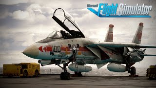 Just. . . WOW | Heatblur Arrive in MSFS! | F14 Tomcat Review Flight | Microsoft Flight Simulator
