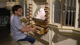 Demo of the 1703 Wender organ in Arnstadt, Germany