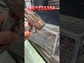 やっと大きなネズミを捕獲して駆除できました！！怒りのネズミ捕獲