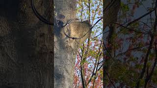 Electrical Code Violation