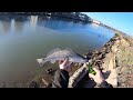 Port Isabel Tx Fishing