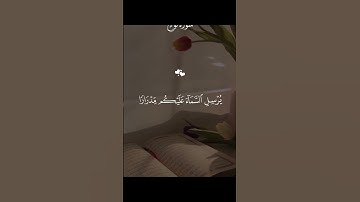 قرآن كريم #قرآن #المصحف #اكسبلور #duet #لايك