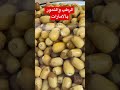 الرطب والتمور بالامارات  