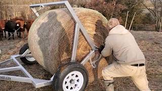 Greg Judy ATV bale unroller in action, feeding 292 head with four wheeler