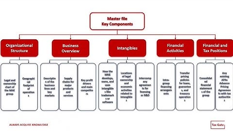 Transfer Pricing Master File Explained