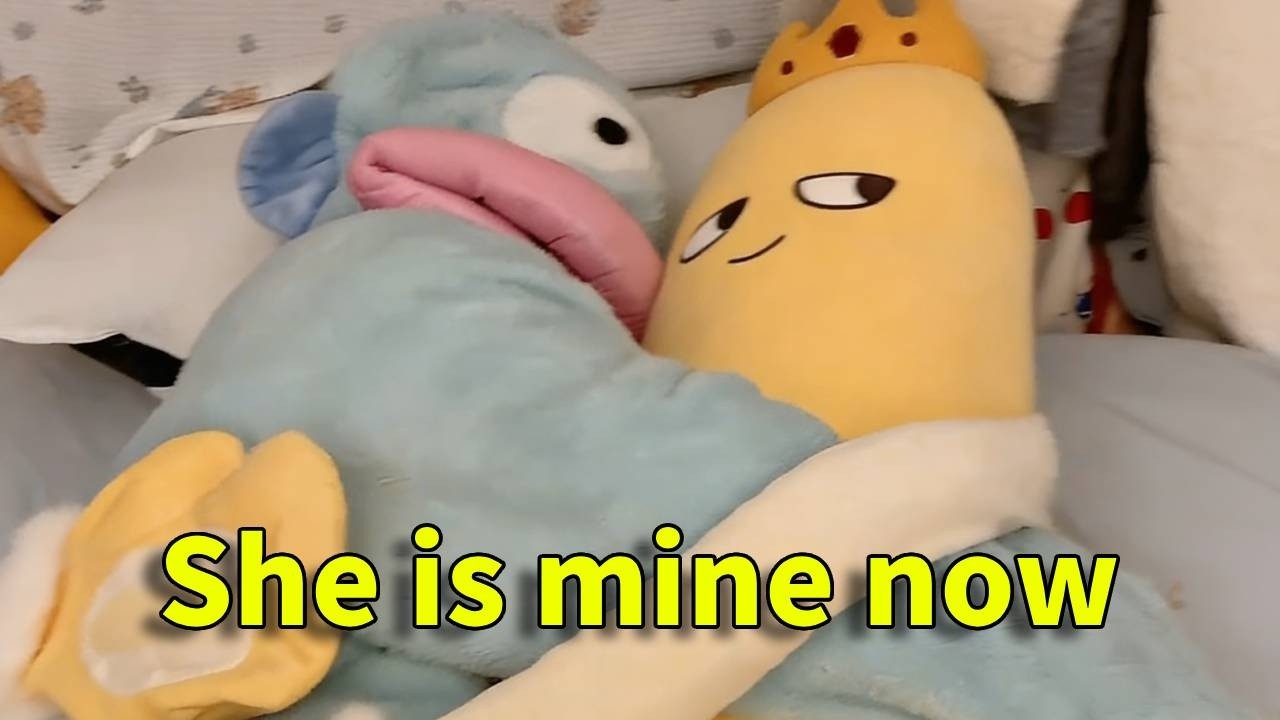 Mango King: She's mine now! #SleepTime #Pillow #MangoKing#funny#New Viral Gadgets#Smart Appliances