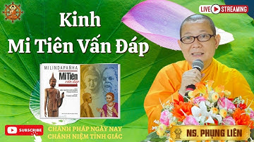 [Buổi 07B] Sự tái sanh - Kinh Mi Tiên Vấn Đáp - NS. Phụng Liên 31/10/2022