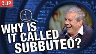 QI | Why Is It Called Subbuteo?