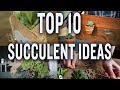 Top Ten Succulent Projects: P. Allen Smith (Tips & Ideas)