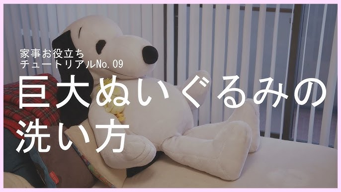 ぬいぐるみの洗い方 洗濯のプロが徹底解説 洗濯の基本と応用 Youtube ぬいぐるみの洗い方 洗濯のプロが徹底解説 洗濯の基本と応用 Youtube
