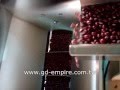 Coffee Bean Packaging Machine/ Seed Packing Machine/ Nuts Packing Machine Mp3