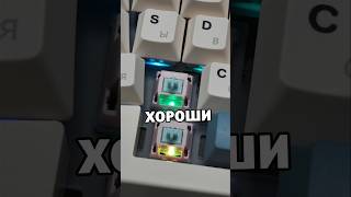 Просто неплохие базированные свитчи Cidoo Carda в Cidoo ABM066 #Switches #Cidoo #Свитчи