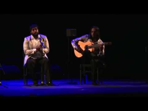 5e journée du festival Arte Flamenco : entre tradition et évolution