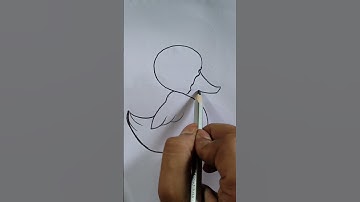 S word se duck drawing।।#art #drawing #shorts #tutorial