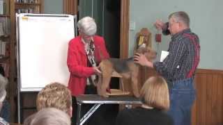 The Lakeland Terrier  Breed Education  Part 4