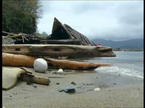 Video: Five Years After Fukushima: How Did The Disaster Affect The Oceans? - Alternative View