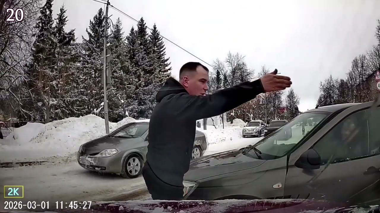 Хозяева жизни. Эти водители сами во всем виноваты. Неадекватные водители