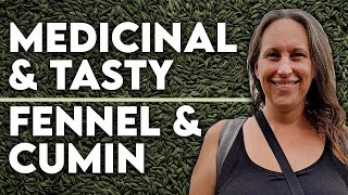 Fennel & Cumin: The Versatile Digestive Herbs